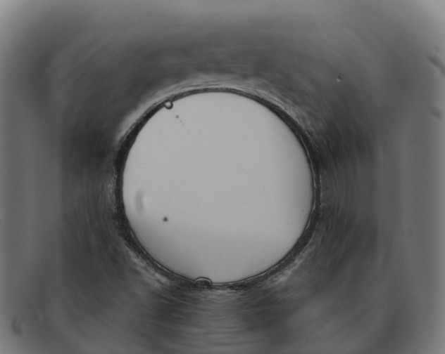 X0000091661502200709131500