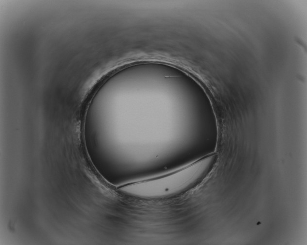 X0000091661503200709131500