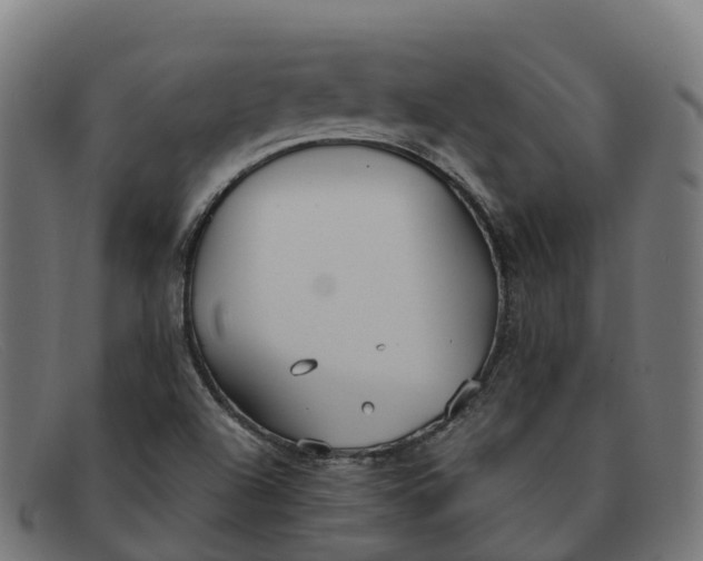 X0000091661504200709131500