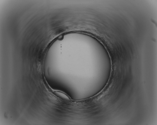 X0000091661505200709131500