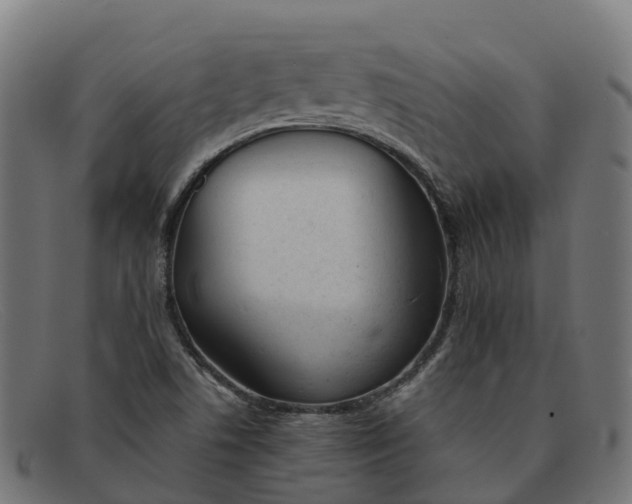 X0000091661506200709131500