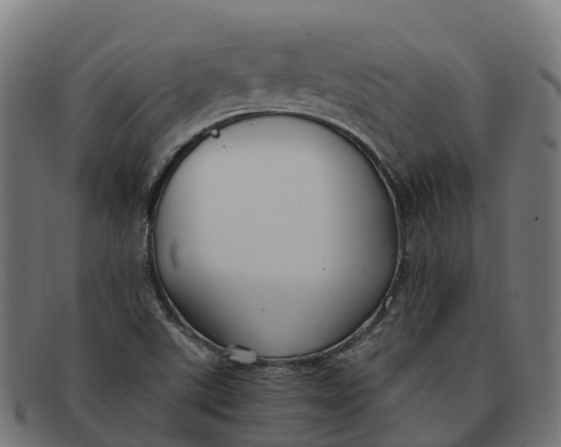 X0000091661507200709131500