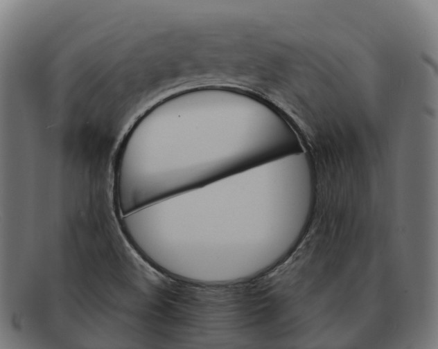 X0000091661508200709131500