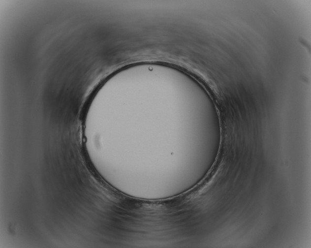 X0000091661509200709131500