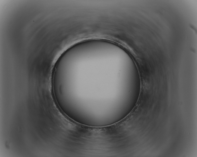 X0000091661512200709131500