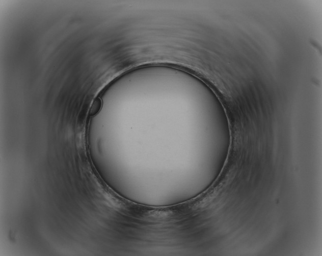 X0000091661513200709131500