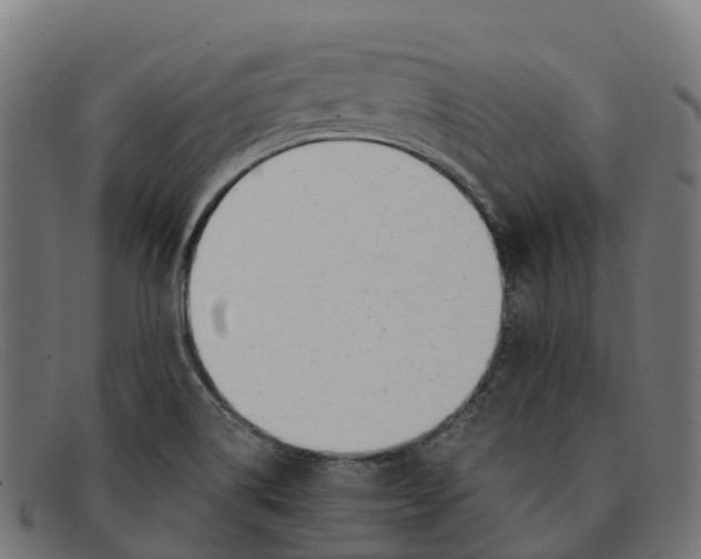 X0000091661514200709131500