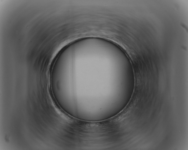 X0000091661515200709131500