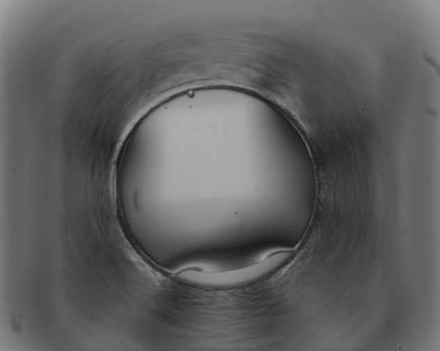 X0000091661516200709131500