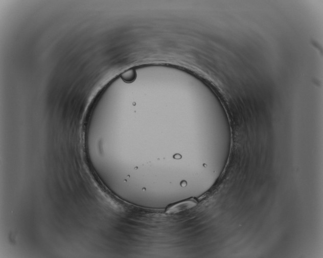 X0000091661517200709131500