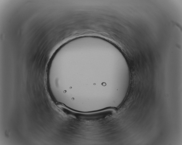 X0000091661518200709131500