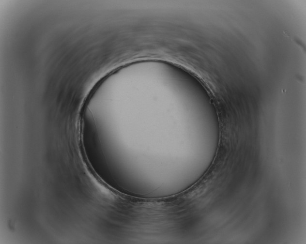 X0000091661519200709131500