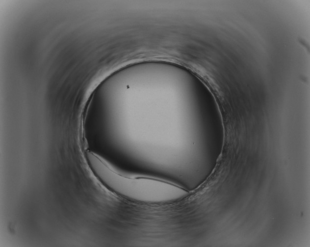 X0000091661520200709131500