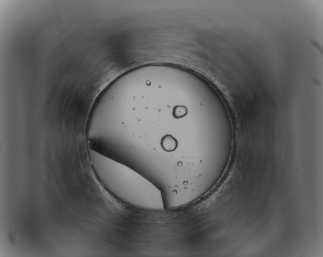 X0000091661521200709131500