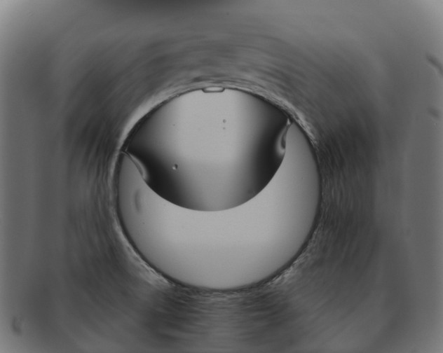 X0000091661522200709131500