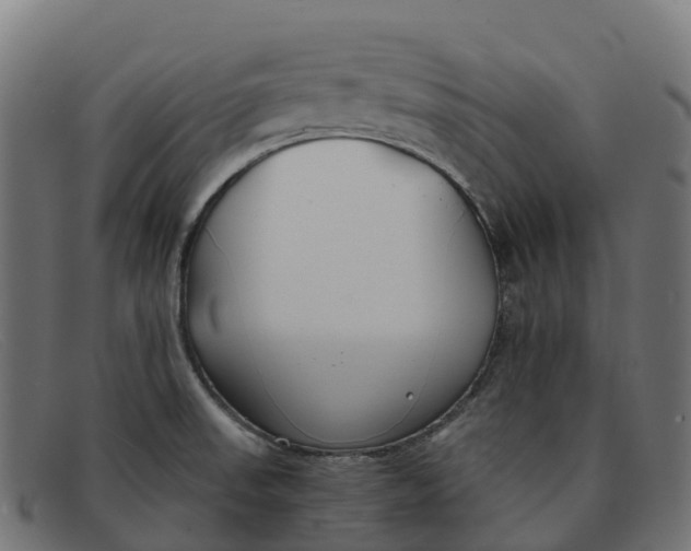 X0000091661523200709131500