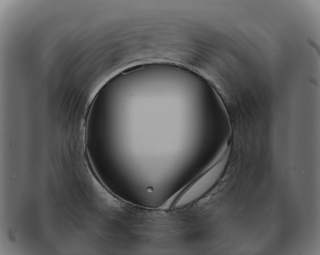 X0000091661524200709131500