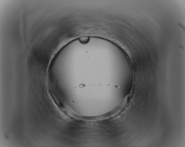 X0000091661525200709131500