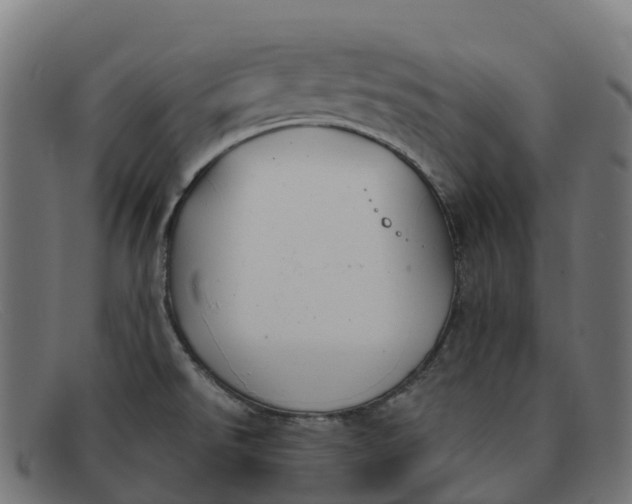 X0000091661526200709131500