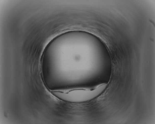 X0000091661527200709131500