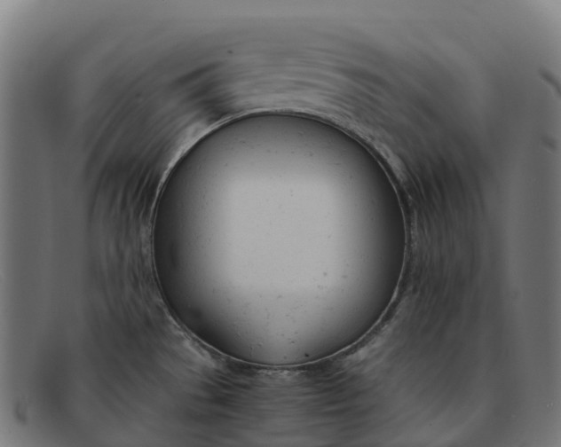 X0000091661529200709131500