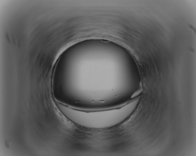 X0000091661530200709131500