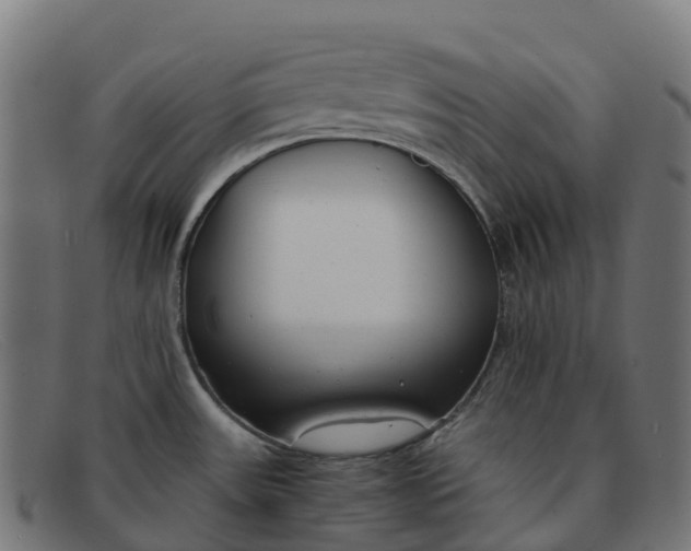 X0000091661531200709131500