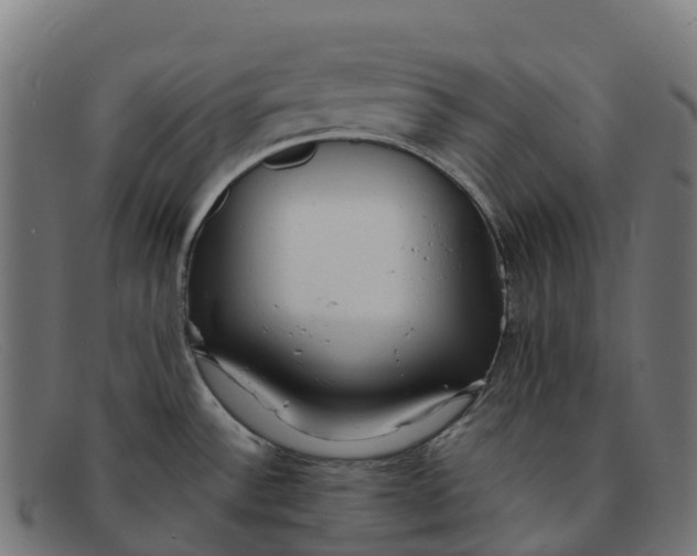 X0000091661532200709131500