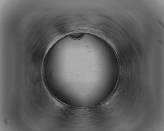 X0000091661533200709131500