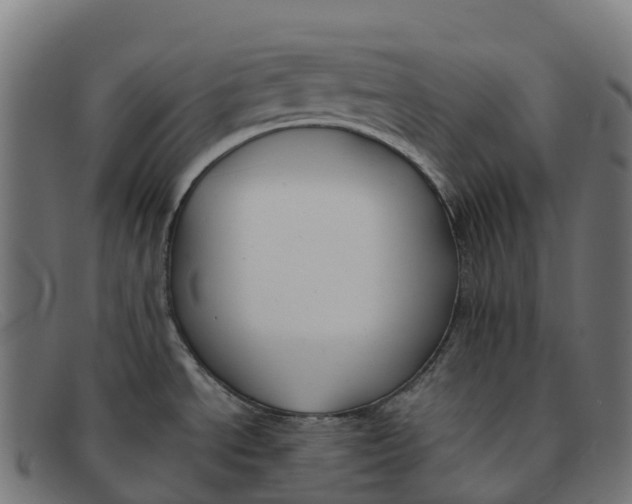 X0000091661534200709131500