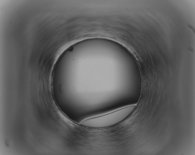 X0000091661535200709131500