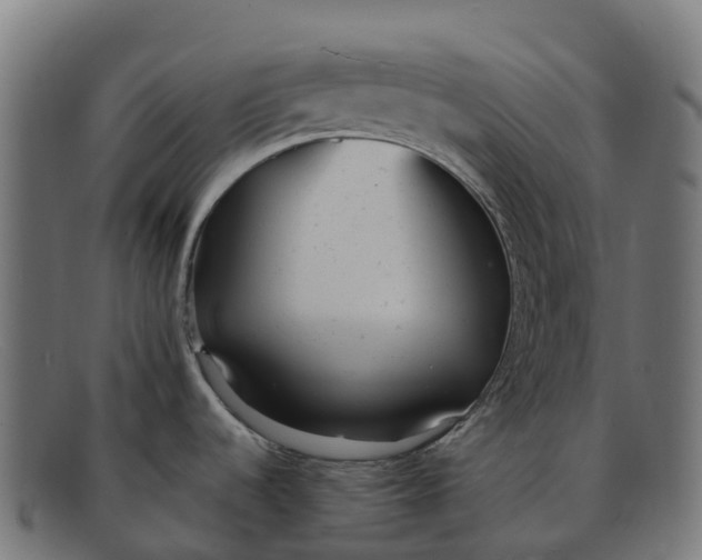 X0000091661536200709131500