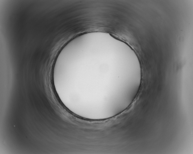 X0000091660001200709201153