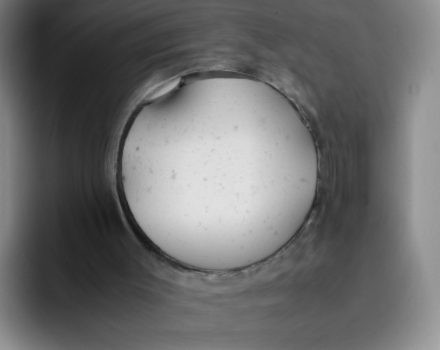 X0000091660003200709201153