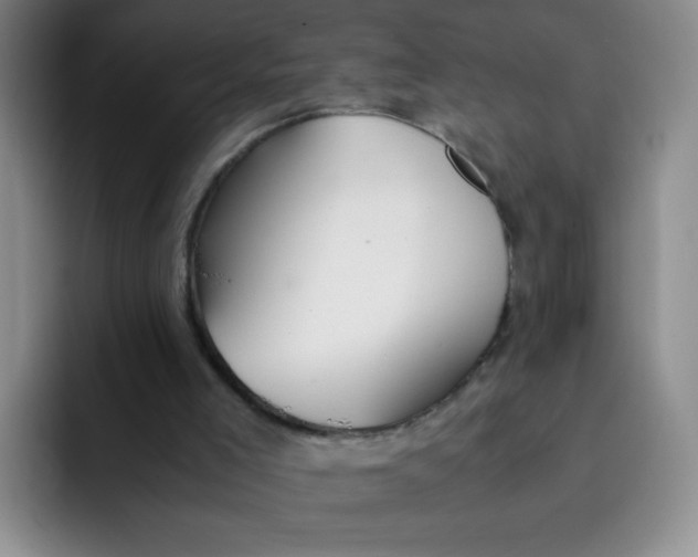 X0000091660005200709201153