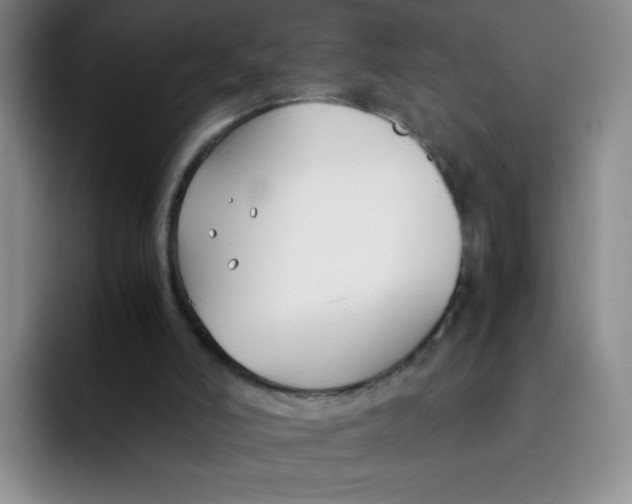 X0000091660006200709201153