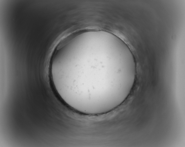 X0000091660007200709201153