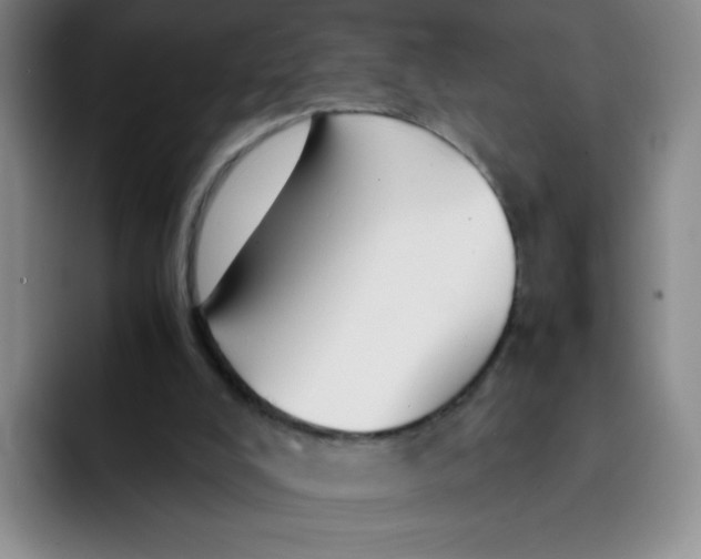 X0000091660008200709201153