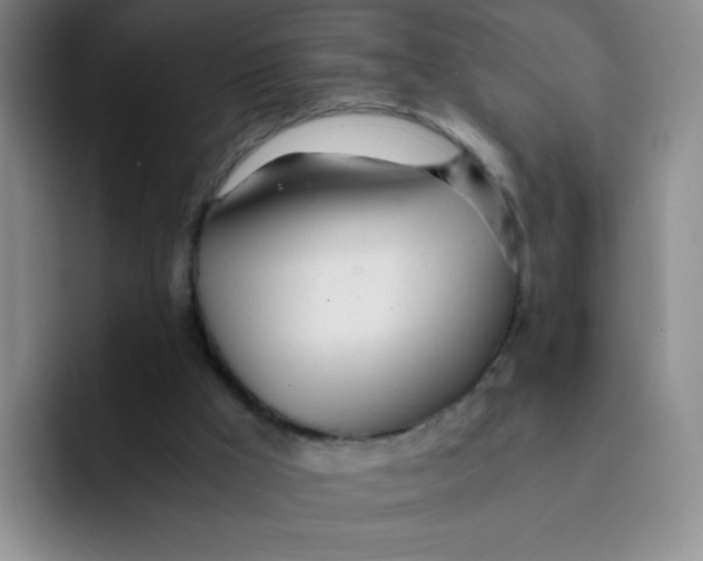 X0000091660009200709201153