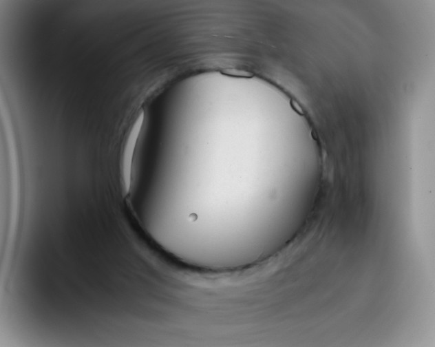 X0000091660013200709201152