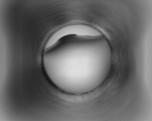 X0000091660015200709201152