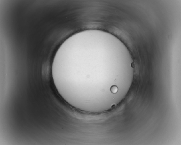 X0000091660016200709201152