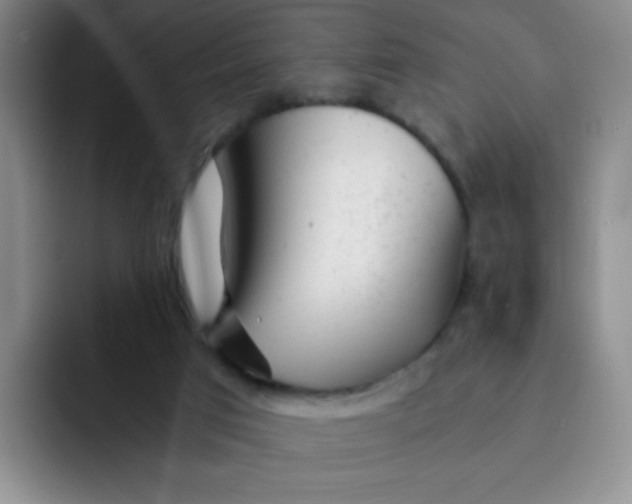 X0000091660017200709201152