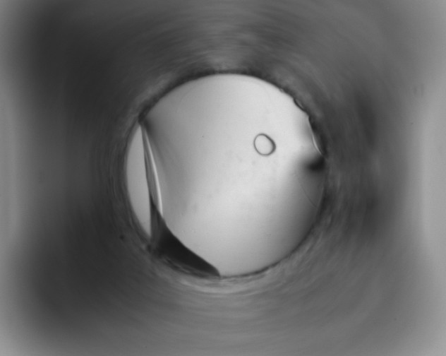 X0000091660019200709201152
