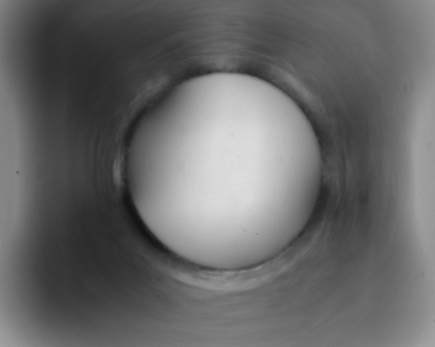 X0000091660023200709201152