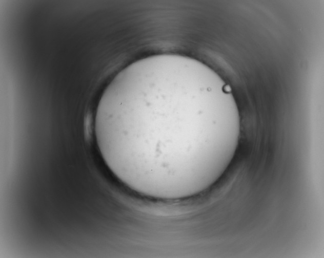 X0000091660024200709201152