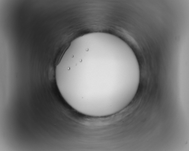 X0000091660025200709201152