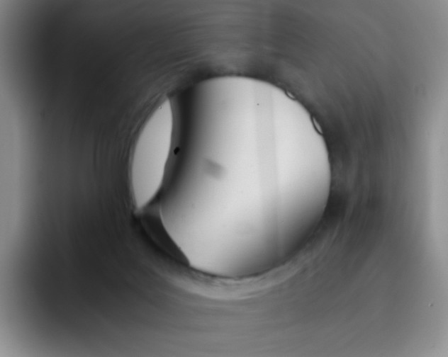 X0000091660027200709201152