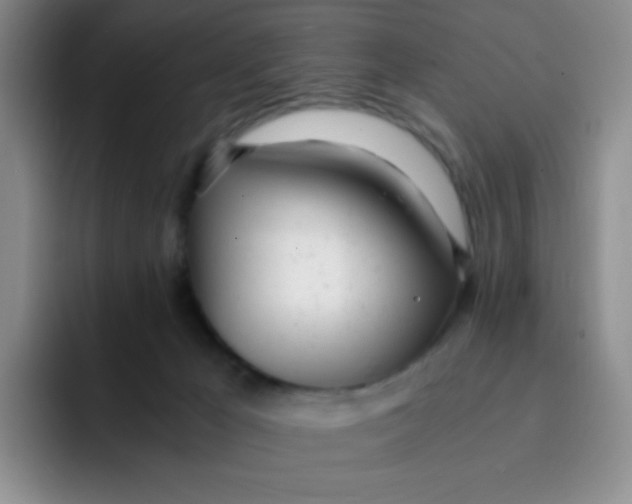 X0000091660029200709201152