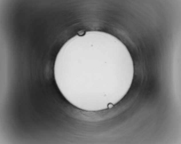 X0000091660030200709201152